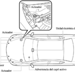 La importancia del cintur&oacute;n de seguridad en el asiento central
